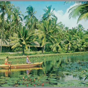 Coco Palms Resort - Postcard Unposted #2