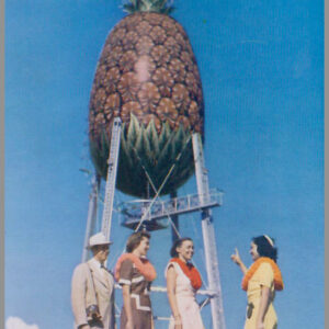 Dole Pineapple - Postcard Unposted #1