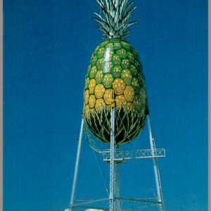 Dole Pineapple - Postcard Unposted #2